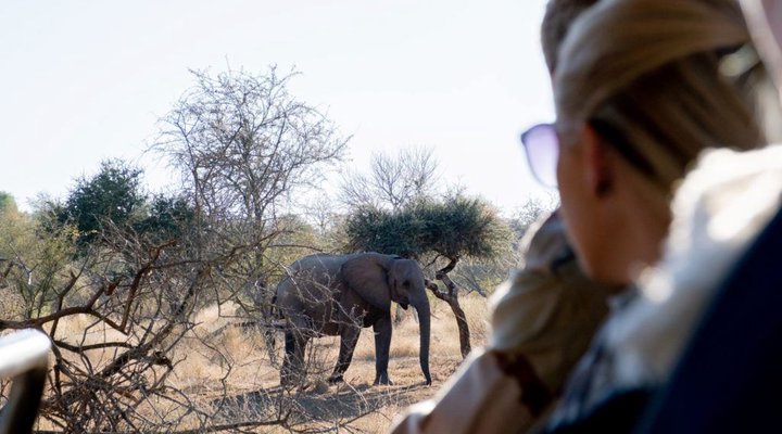 4 Nights 2 pax Safari Package