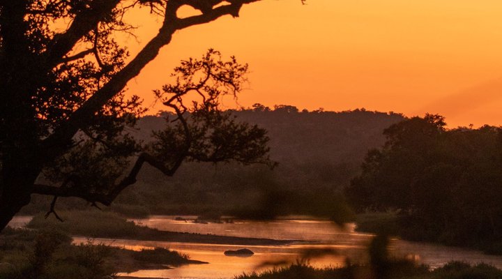 4 Nights 2 pax Safari Package