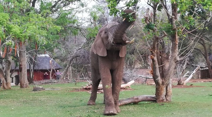 5 Night 2 pax Safari Package