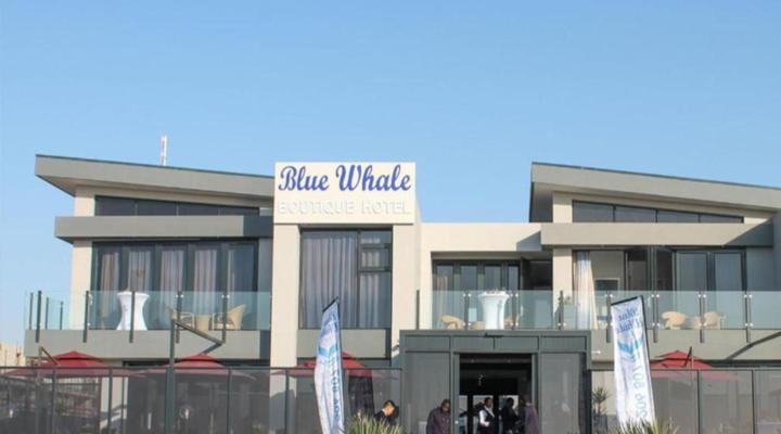 Blue Whale Hotels
