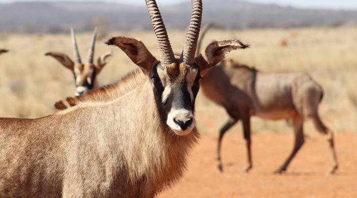 Sunset Private Reserve