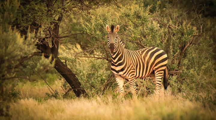 Sunset Private Reserve