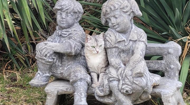 Herb Garden Guest House