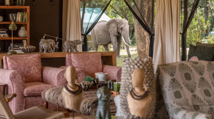 Little Governors Camp