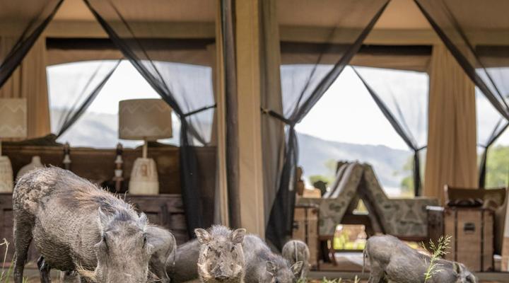 Little Governors Camp