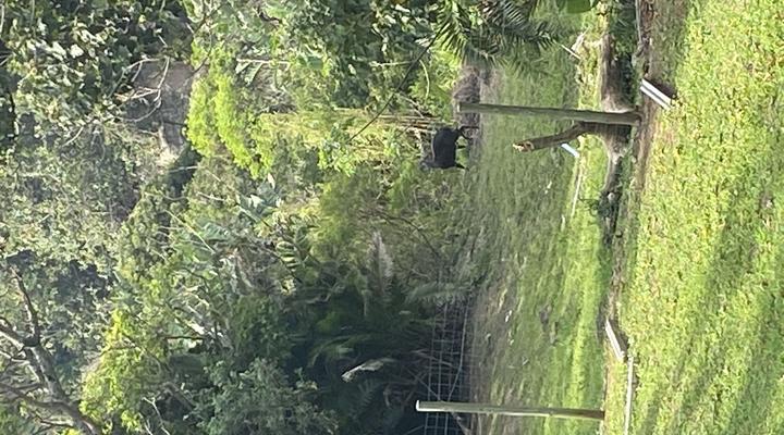 The Potbelly Beach House