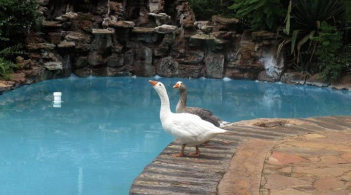 Malibu Country Lodge