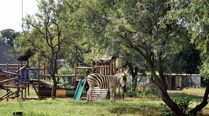 Malibu Country Lodge