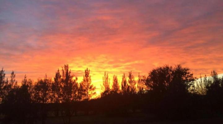 Tree Tops Guest Farm