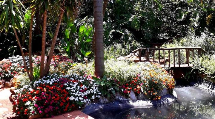 Tree Tops Guest Farm