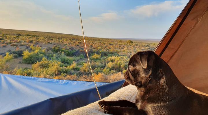 Ymansdam Camping & Self-catering Cottage