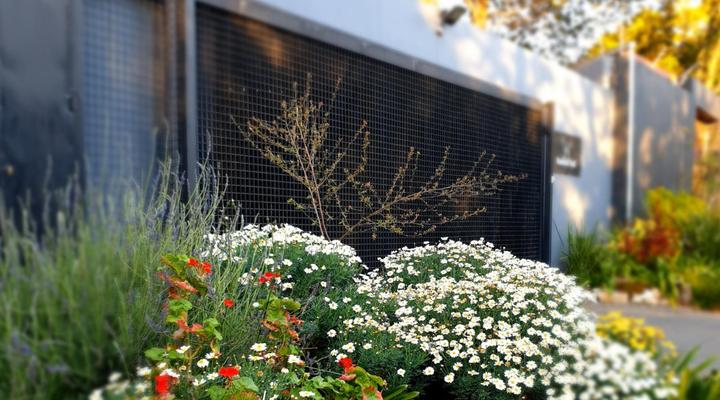 Hadeda Hall Guest House