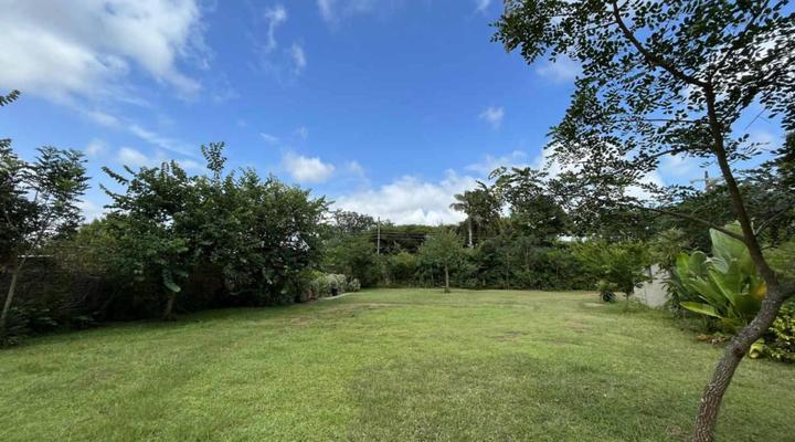 Halleria Self Catering