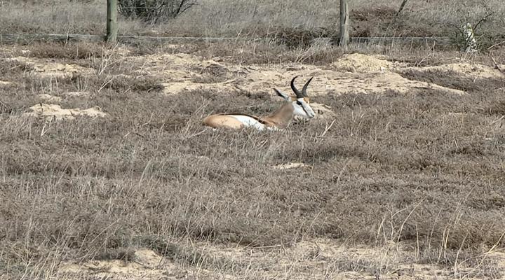 Rustic Hill Accommodation