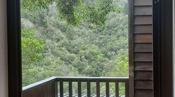 Dolphin View Holiday Apartments