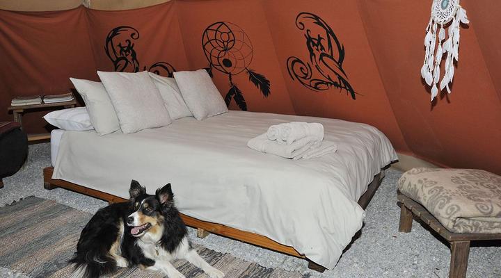 Lancewood TiPi Lodge @ Assegai Rest