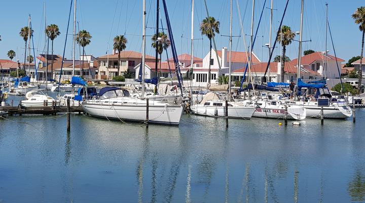 Mainstay - Pet Friendly