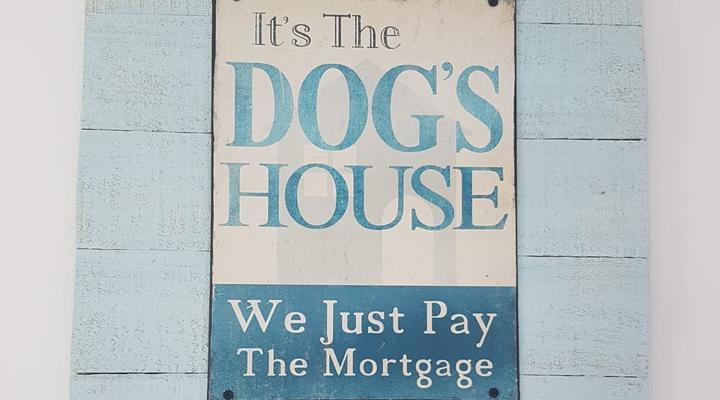 Mainstay - Pet Friendly