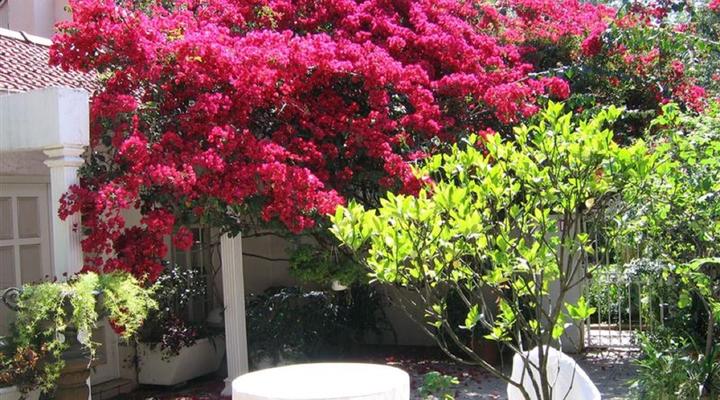 Villa Victoria Executive Guesthouse