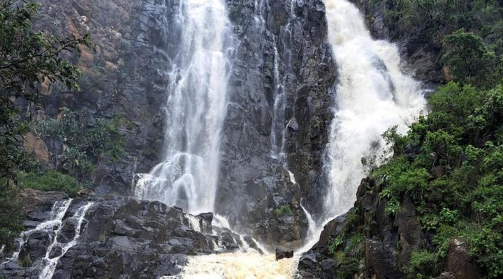 The Kingfisher Country Cottages & Trout Lodge