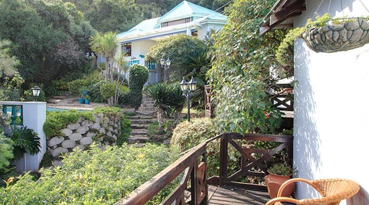 Mont Fleur - Wilderness