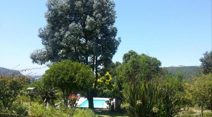 Piesang Valley Lodge