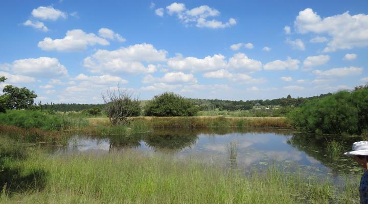Random Harvest Country Cottages