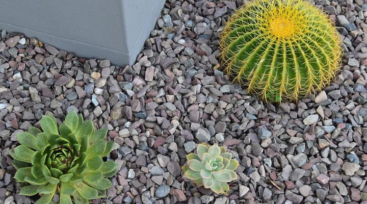 Quiver Inn Guesthouse