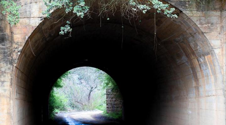 Springvale Farm Cottages