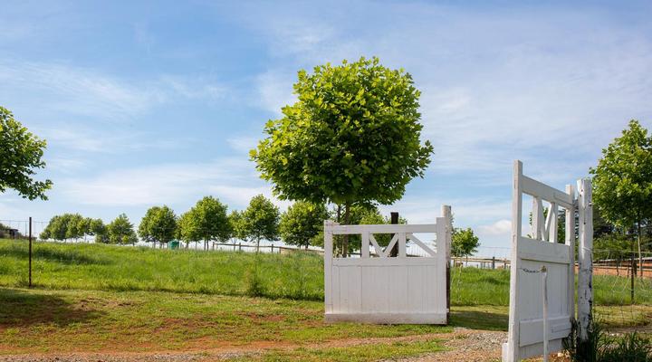 Springvale Farm Cottages