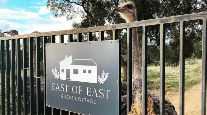 East of East Guest Cottage