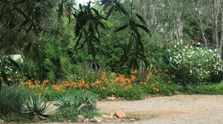 Aloe Accommodation Klerksdorp