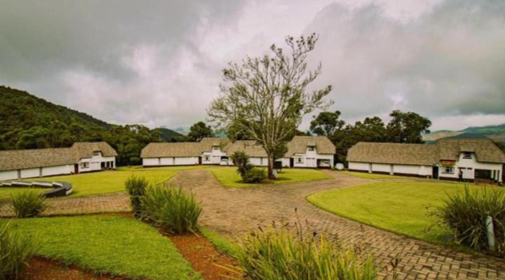 Mount Sheba Blue Zone Leisure