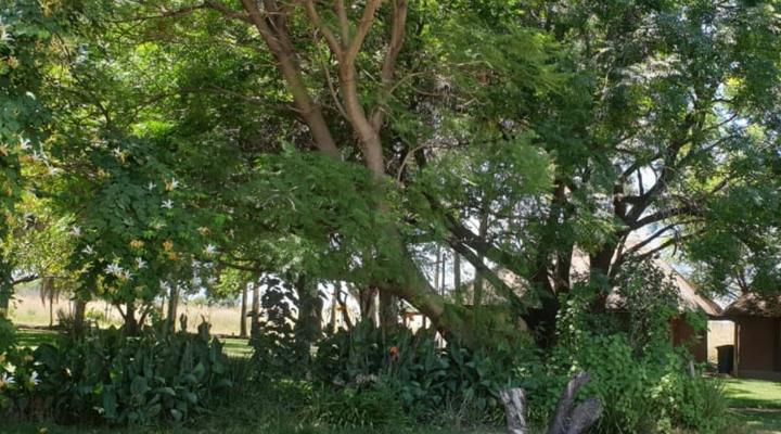 Prestige Self-Catering Apartment