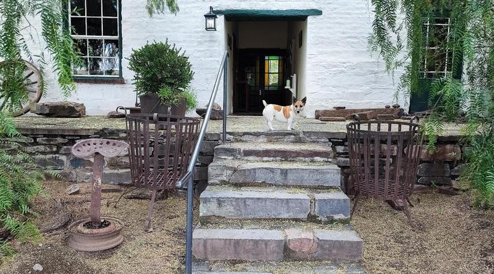 Ganora Guest Farm and Excursions