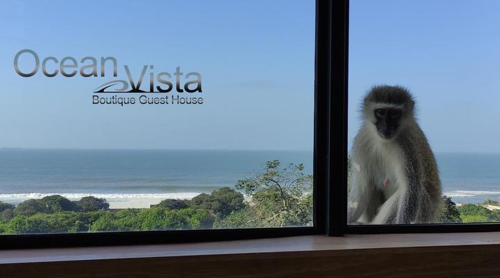 Ocean Vista Boutique Guest House
