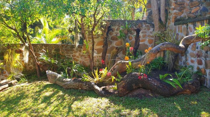 The Green Lizard Guesthouse