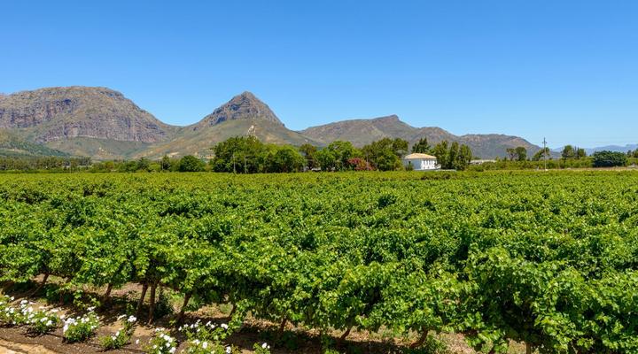 Adara Palmiet Valley Boutique Farm Hotel