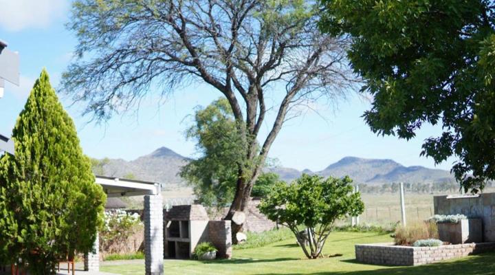 Aloes 62 on Meintjies