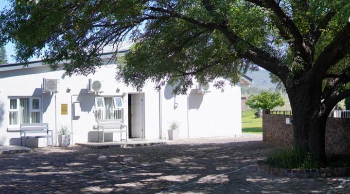 Aloes 62 on Meintjies