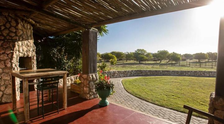 A Touch of Bushveld by the Sea