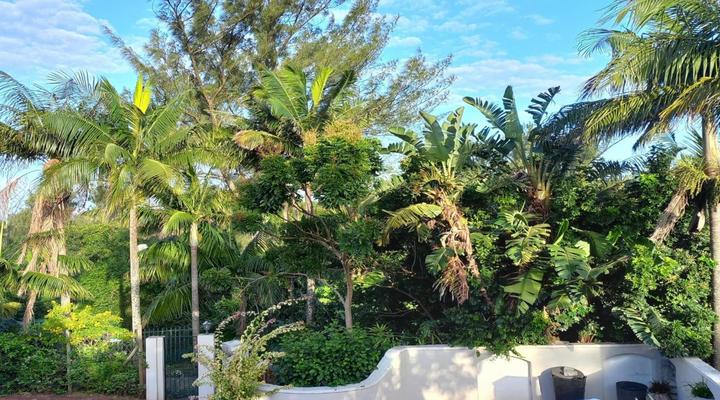 Villa Roc Guesthouse