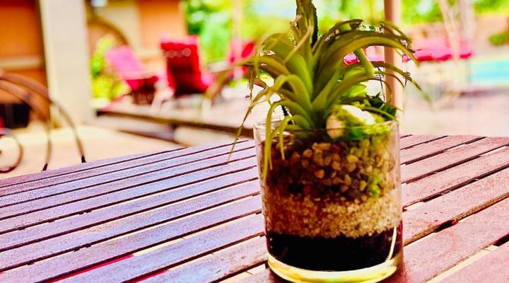 Gucci Manor Boutique Guesthouse