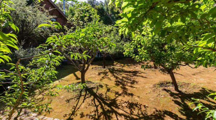 Orchard Cottage at Devon Castle