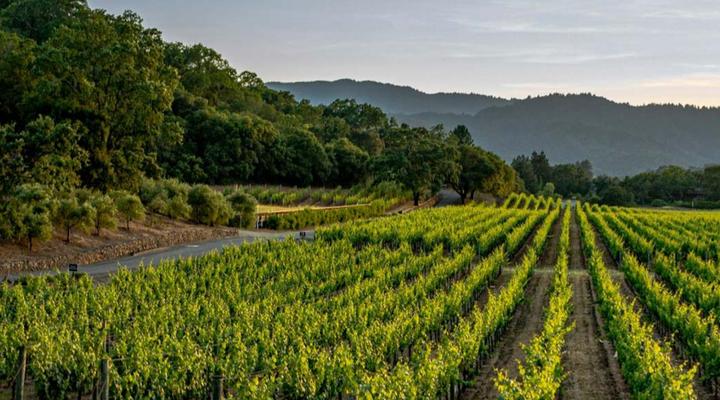 Orchard Cottage at Devon Castle