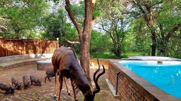 Ingwe Kruger Retreat