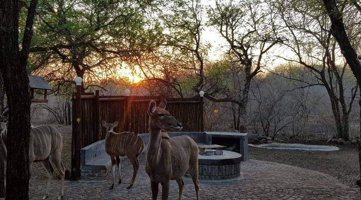 Ingwe Kruger Retreat