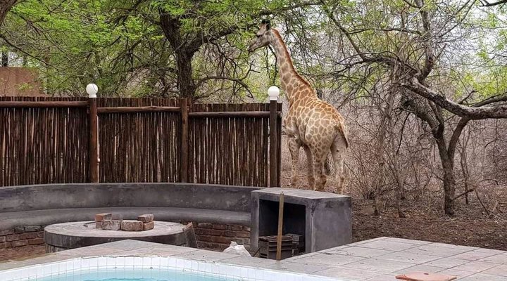 Ingwe Kruger Retreat