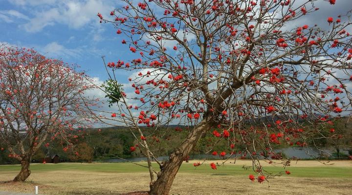 Kruger Park Lodge, Chalet Shongwe Ingwe