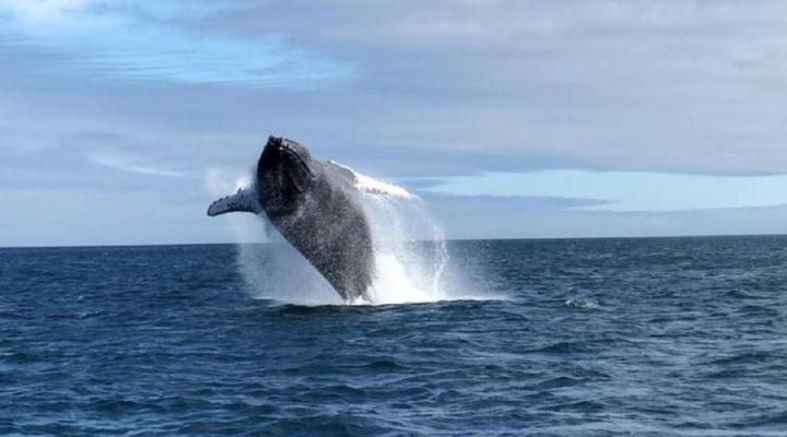 On the Beach Guesthouse and Suites